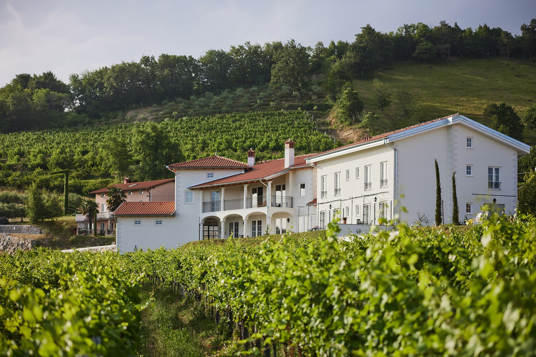 Vila Zlata Jeruzalem Slovenija: 6-Bedroom Hilltop Estate with Vineyard Views and Spa in Slov