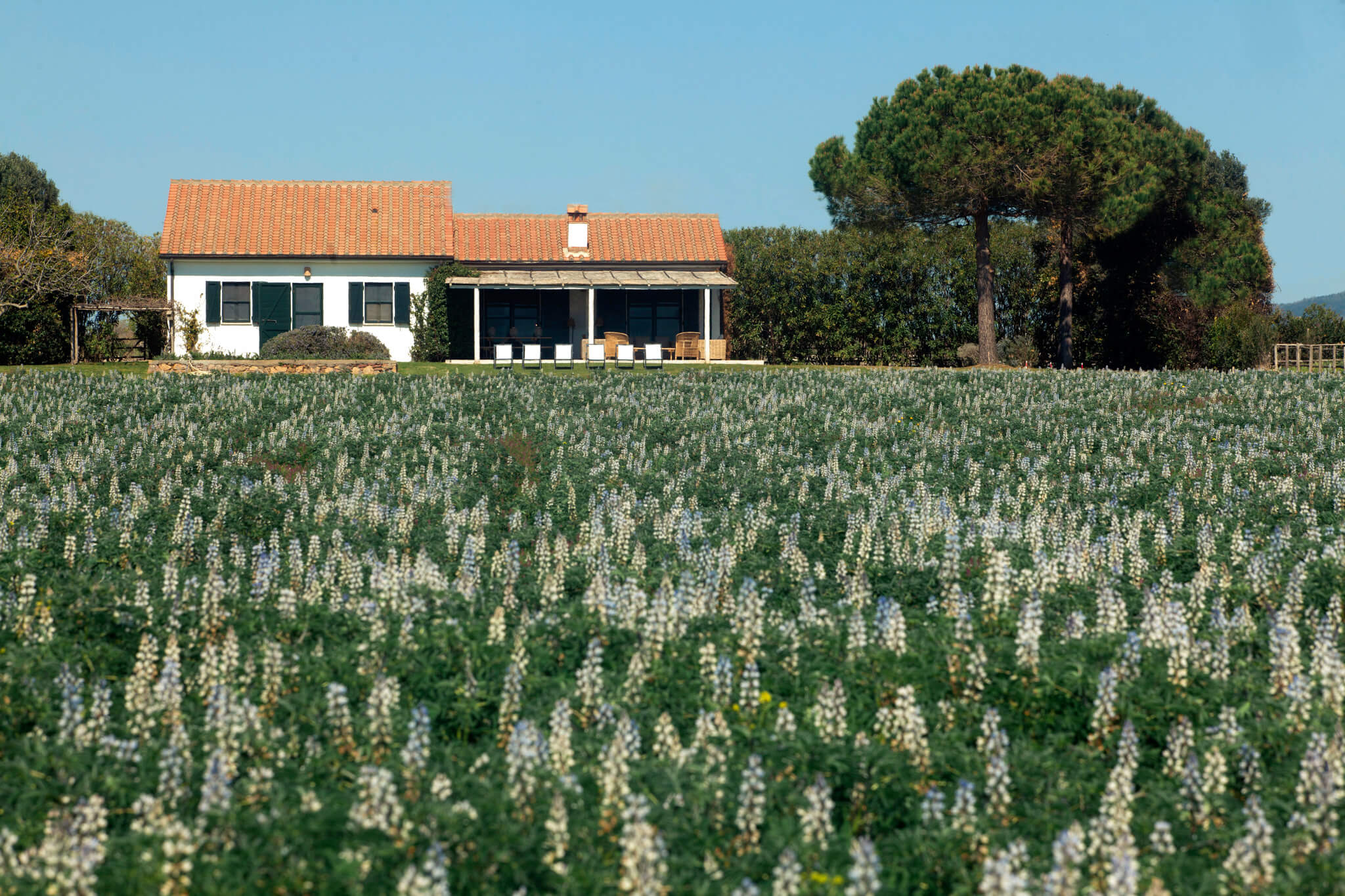 Villa Amaranto Poggio Burano: Luxury 4-Bedroom Villa with Seaview and Spa in Tuscany