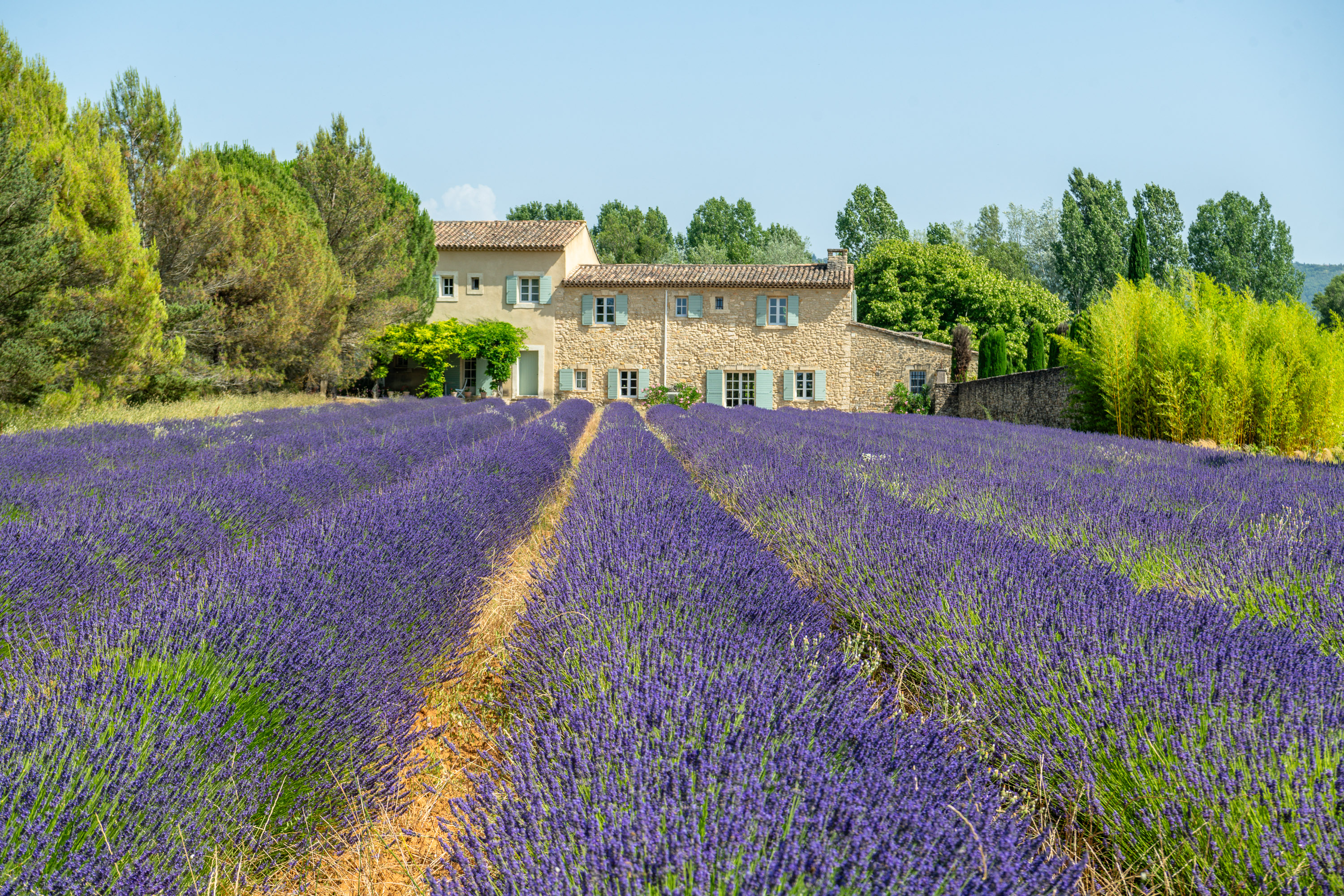 Villa Safran Montaigu Vaucluse: Luxury 5-Bedroom Villa with Heated Pool and Tennis Court, Vaucluse Provence