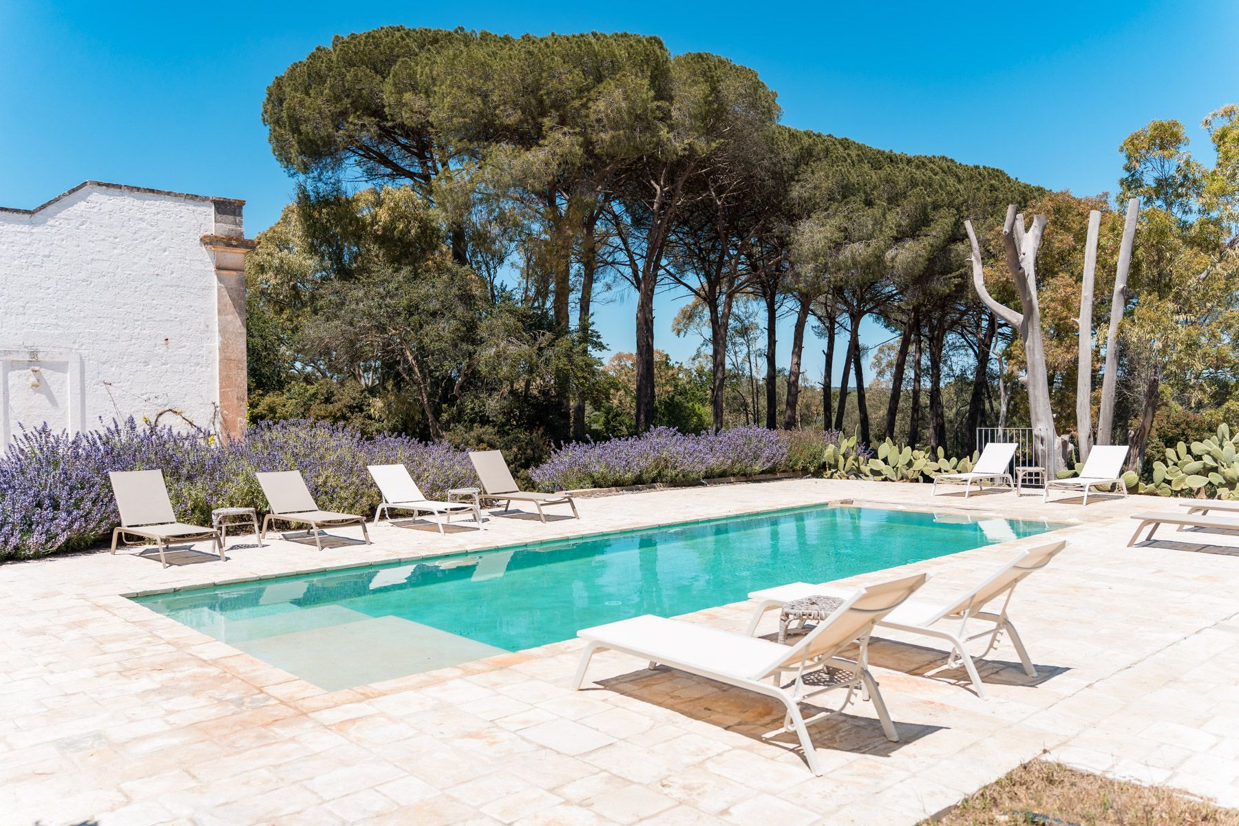 Villa Ulivo Certosa Ostuni: 5-Bedroom Historic Masseria with Private Pool and Spa in Cer